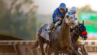 Live Horse Racing Stream FREE [upl. by Zetrok566]