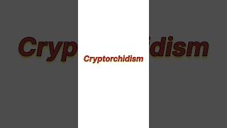 Cryptorchidism [upl. by Xymenes133]