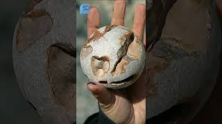 How fast can a limestone cannonball go  Mythbusters  Science Channel [upl. by Narat]