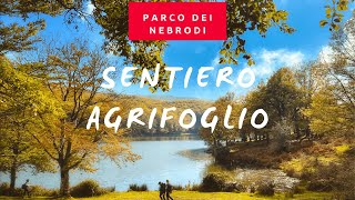 IL MIO VIAGGIO IN SICILIA AL SENTIERO DELL AGRIFOGLIO AL LAGO MAULLAZZO  For Associazione PFM [upl. by Ruttger]