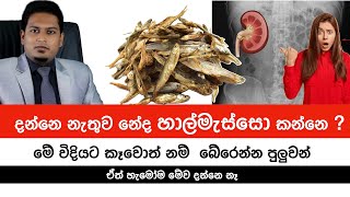 දන්නා හාල්මැස්සො වල නොදන්නා කතාව  Sprats amp Health By Nutritionist Hiroshan Jayaranga [upl. by Delmer]