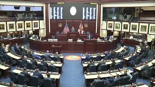 What is next for Florida Republicans [upl. by Reffotsirhc455]