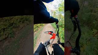 Fast Flow 🟦✅ mountainbikejumps mtb downhillmountainbike downhill extremesports [upl. by Kalagher]