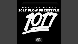 1017 Flow Freestyle [upl. by Llorrad]