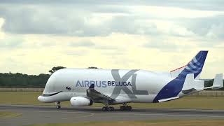 Airbus Beluga XL comes to London Luton Airport [upl. by Ariel]