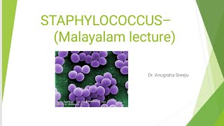 STAPHYLOCOCCUS LECTURE MICROBIOLOGY MALAYALAM  5 MARKS QUESTION PART 1 [upl. by Aicemaj282]