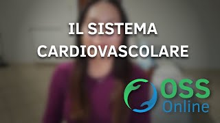 IL SISTEMA CARDIOVASCOLARE  OSS Online [upl. by Laurita]