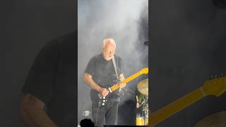 Comfortably Numb  David Gilmour Live at Crico Massimo Rome 2024 davidgilmour pinkfloyd rock [upl. by Pascal]