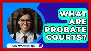 What Are Probate Courts  CountyOfficeorg [upl. by Allister]