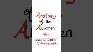 Anatomy of the Abdomen  Posterior Abdominal Wall mbbs biology anatomy physiology science [upl. by Leanor]