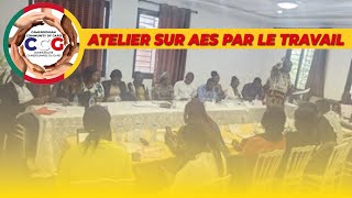 Atelier sur ladmission exceptionnelle au séjour par le travail sans papiers [upl. by Assirk]