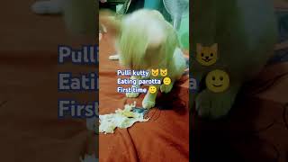 pulli kutty 😺😺partto vijaysethupathi movie tamil vikram vikramvedha pulli eating [upl. by Range401]