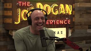 Joe Rogan Experience 1800  Gavin de Becker [upl. by Stevie964]