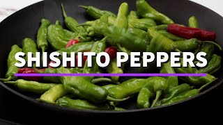 Blistered Shishito Peppers Recipe  Only 4 grams of carbs [upl. by Auot]