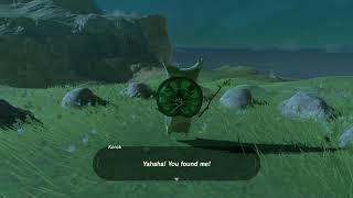 Korok seeds  Horse God Bridge  Lake Tower 78  Zelda BOTW [upl. by Boniface544]