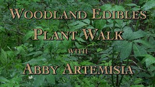 Woodland Edibles Plant Walk with Abby Artemisia [upl. by Bradstreet]