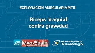 BÃ­ceps braquial contra gravedad [upl. by Eidissac]