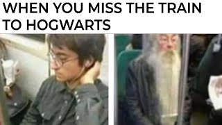 Harry Potter Memes [upl. by Ophelie503]