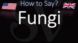 How to Pronounce Fungi [upl. by Braeunig337]