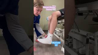 Myotome testing Dorsiflexion [upl. by Domph]