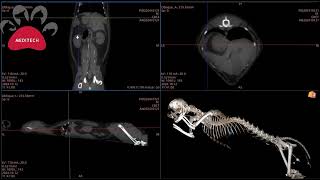 CBCT Clinical Case Sharing Issue 15 Thoracic Ductography Cat 42kg [upl. by Sivrep879]