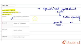 Olfactory Epithelium Scheneidarian membrane is composed of [upl. by Bethina249]