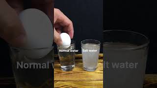 Eggs amp Salt Water  Water Density Science Experiment experimnts satisfying rhcb [upl. by Tonya]