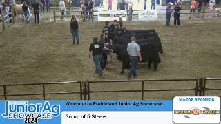 July 8 2024  Prairieland Junior Ag Showcase  NW Regional 4H Beef Steer Show  Saskatoon SK [upl. by Artiek]