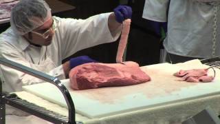 Aaron Franklin describing how he trims a brisket at Brisket Camp 2015 [upl. by Liagabba]