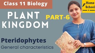 Plant Kingdom Class 11 Biology  Pteridophytes Part6 [upl. by Teresita]