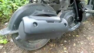 Honda Navi Exhaust Sound [upl. by Rubens]