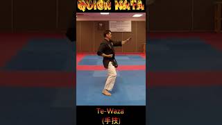 Kata Tutorial TeWaza karate karatekata tewaza [upl. by Oicangi]