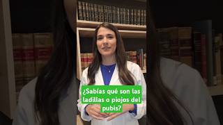 ¿Sabías qué son las ladillas o los piojos del pubis [upl. by Sievert972]