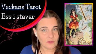 Ess i stavar  Veckans Tarot 14 jan [upl. by Lexis]