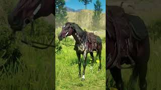 Arabian Horses  Rdr2  Red Dead Redemption 2  5 Arabian Horses  Horse Riding  Horses  Fun [upl. by Kopple]