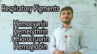 Respiratory Pigments  Haemoglobin  Hemocyanin  Hemerythrin  Chlorocruorin [upl. by Vladimir476]