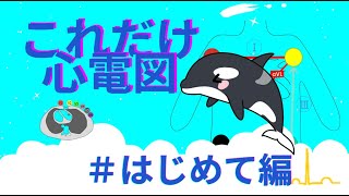 【ECG】これだけ心電図 心電図 [upl. by Alomeda411]