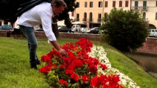 MARCO amp IL CLAN  ROSSE ROSE VIDEO UFFICIALE [upl. by Romulus]