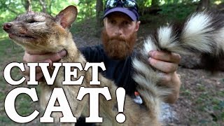 Catch and Cook RINGTAILED CAT amp Cactus Nopals Ep03  100 WILD Food SURVIVAL Challenge [upl. by Per]