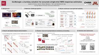 GLMsingle a turnkey solution for accurate singletrial fMRI response estimates [upl. by Lalaj]