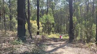 Kinglake Ring Walk [upl. by Munro]