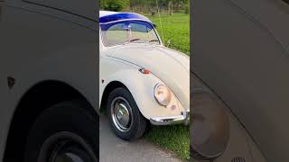 1967 VWKäfer 1300 1967 VWBeetle 1300  Sunset Drive  Walkaround [upl. by Nnahoj]