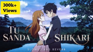 Tu Sanda Shikari Nazar Baz Hae  TikTok Viral Song  Slowed Reverb  Lofi Song [upl. by Fraya720]