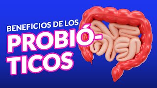 Los beneficios de los Probióticos [upl. by Liag]