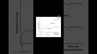 Glucokinase and hexokinase difference biochemistry firstaidusmle inicet neetpg mnemonics [upl. by Bonis]