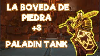 8 PALADIN TANK NO META PERO METEDOR EN LAS DUNGEONS [upl. by Adohr390]