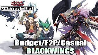 ULTIMATE BLACKWING GUIDE FTK Combos Decklist YuGiOh Master Duel [upl. by Mersey]