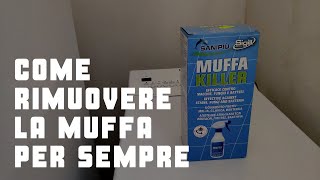 Come rimuovere la muffa per sempre da soffitti e pareti [upl. by Colvin]