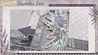 LAVENDER LANE layouts [upl. by Armelda]