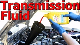 How to Change Automatic Transmission Fluid and Filter COMPLETE Guide [upl. by Joly883]